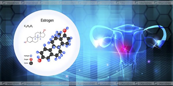 Vì sao cần tăng Estrogen tự nhiên