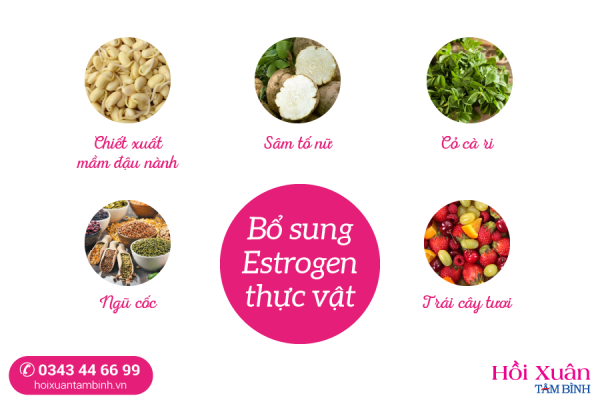 bổ sung estrogen thực vật