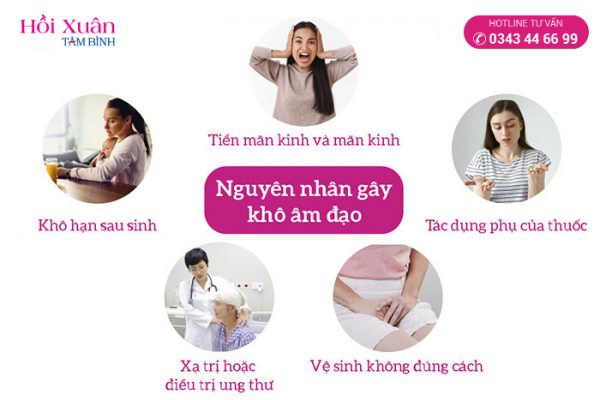 nguyên nhân khô âm đạo tuổi mãn kinh