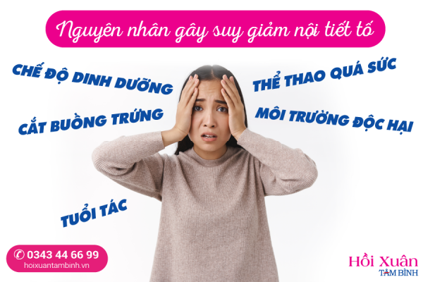 nguyên nhân gây suy giảm nội tiết tố nữ estrogen