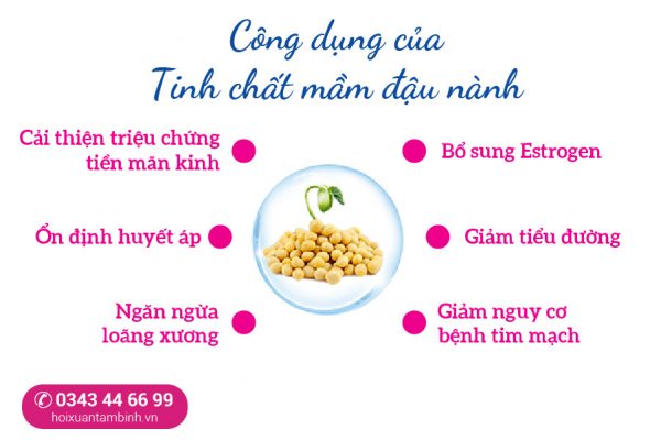 công dụng của mầm đậu nành