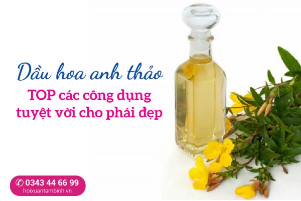 dầu hoa anh thảo