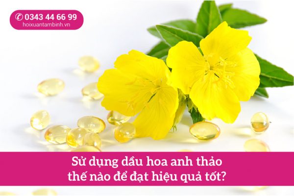 hướng dẫn sử dụng dầu hoa anh thảo